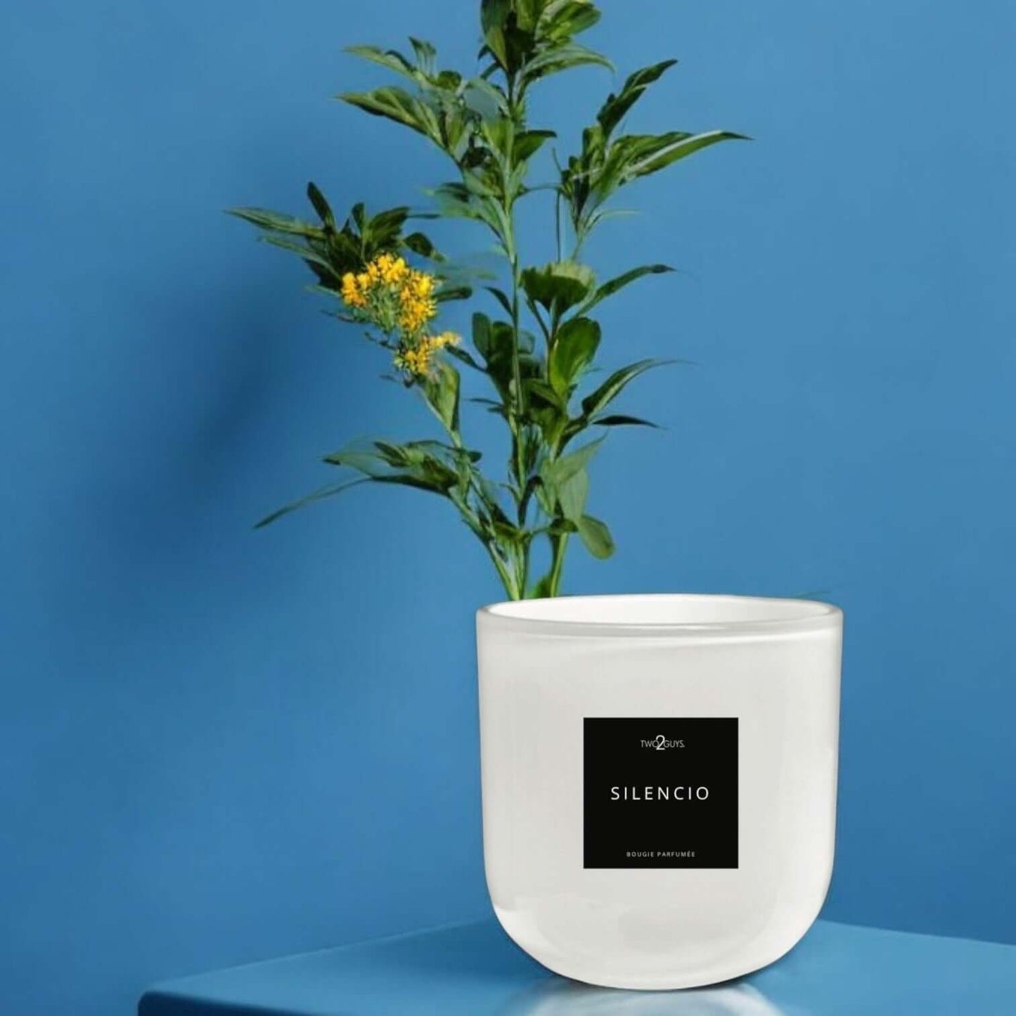 Silencio Scented Candle | Citrus, Basil & Musk