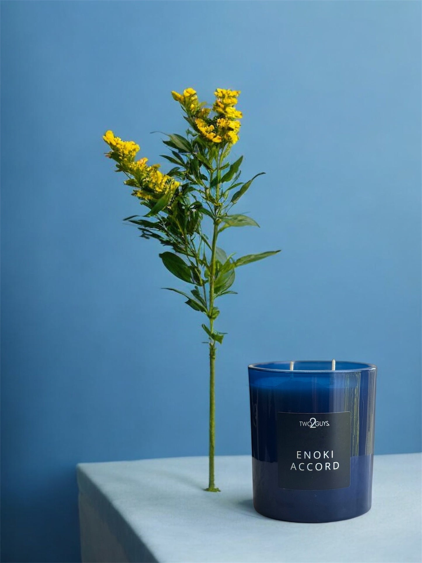 Enoki Accord Vegan Scented Candle