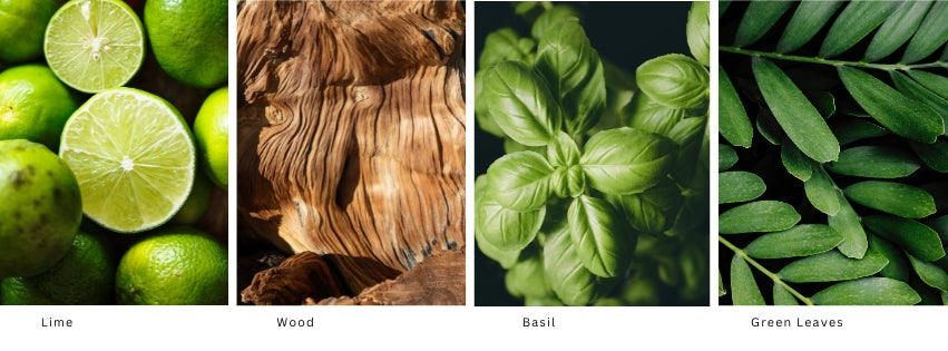 An image of lemon, wood, basil and green are the notes to complete the silencio vegan candle