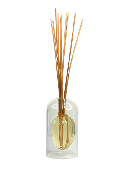 Clear glass diffuser bottle with wooden sticks on a black background