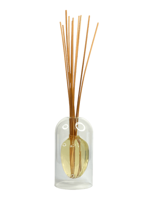 Clear glass diffuser bottle with wooden sticks on a black background